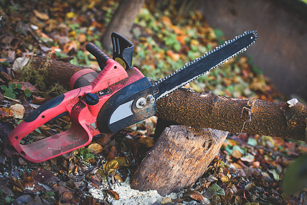Best Firewood Processing and Delivery  in Shaw, MS